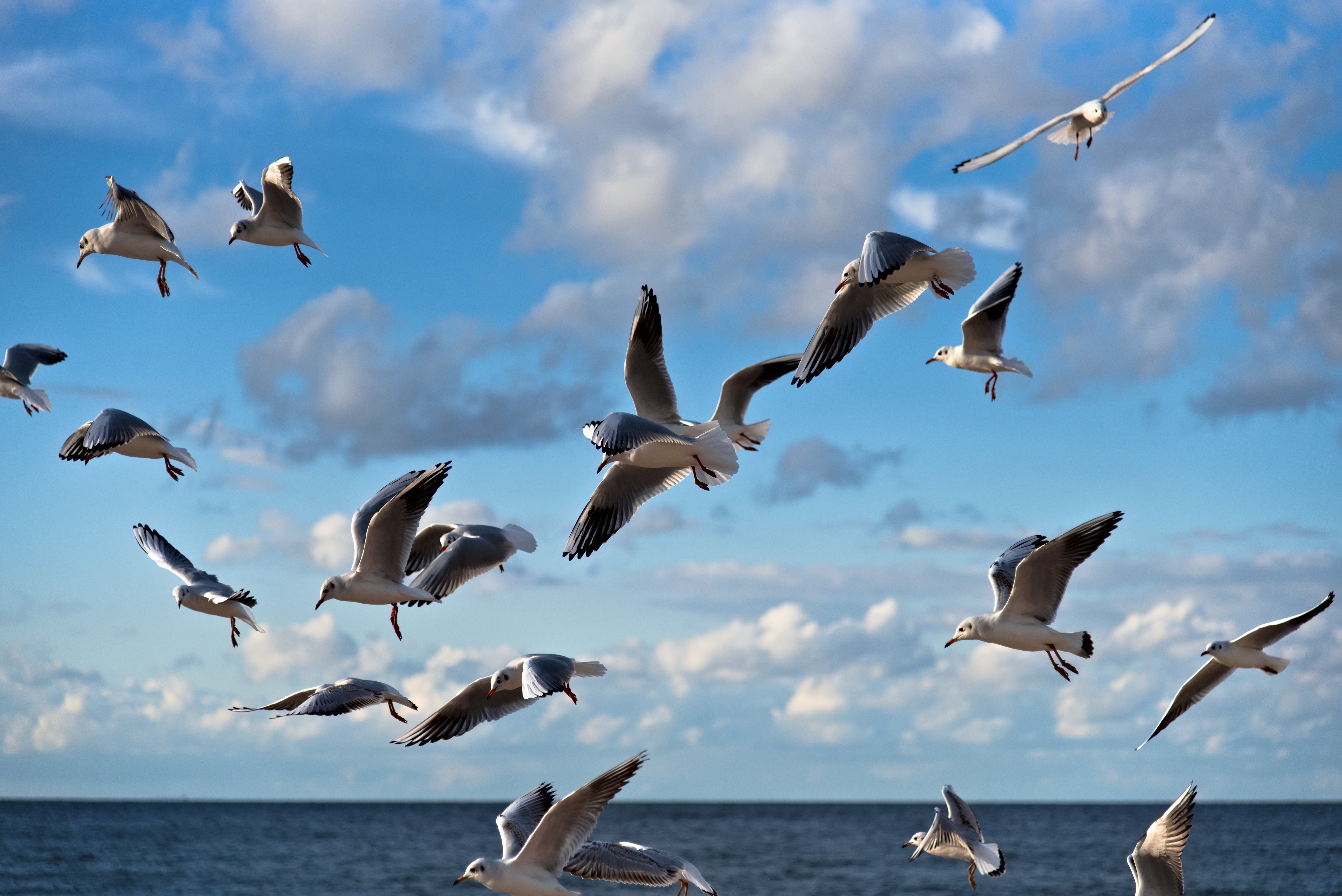 AdobeStock_393269355